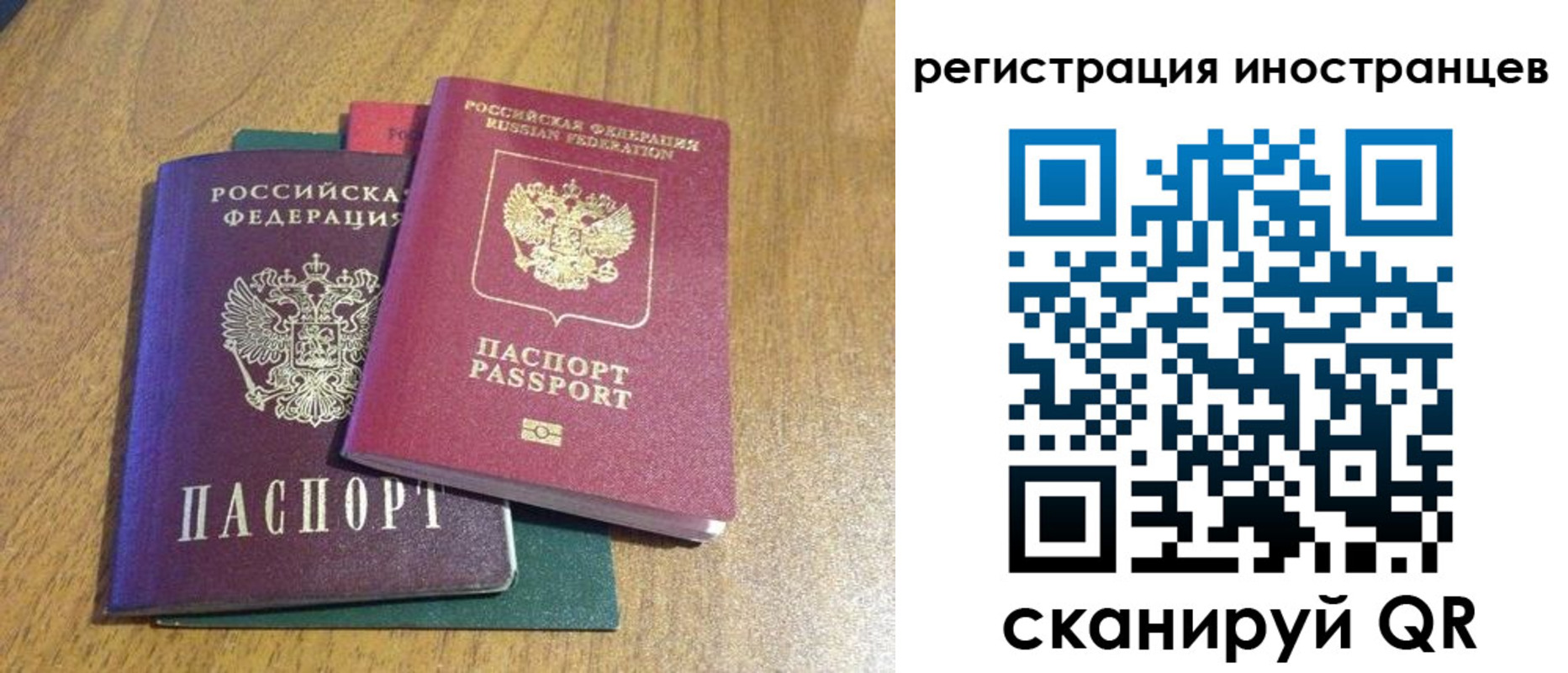временная регистрация поиск в Тереке